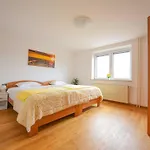 Cozy Luxe With Natural Thermal Bath - Seven Bedroom Holiday home Cerklje ob Krki